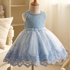 Elegant Wedding Princess Girls Dress Flower Girl Tutu Lace Party Kids Clothes Uk