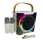 Karaoke Machine With 2 Wireless Microphones Bt Microphone And Speaker Ktv S Ygek