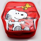Lunch Bag  Peanuts Snoopy Woodstock Insulated Tote Case Lunch Box New