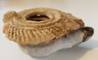 Rare  And Authentic  Byzantine Roman Oil Lamp With Certificate Of Antiquity