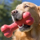 Kong Goodie Bone Dog Toy Durable Natural Kong Rubber  Bone Shaped For Chewing
