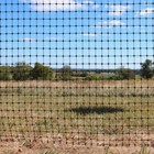8  X 100  Trident Fence Heavy Duty Deer Garden Animal Fencing - 2  X 2  Mesh