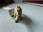 Nwt Collecta Retired Stegosaurus Baby Dinosaur 88198 Prehistoric Figure 2007 Toy