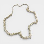 Natural Seashell Strand Lot   Jewelry Making  Coastal Crafts  Beach Decor