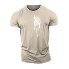 Men s Distressed Graphic T Shirt  Xs-4xl  The Spartan Punisher
