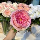 5pcs Austin Rose Flowers Real Touch Roses Bridal Bouquet Wedding Party Flower