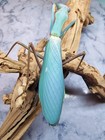 Live Blue Papua Mantis L2 - L3 Nymph  hierodula Sp  Papua  Pet   Starter Kit