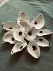 25 Large 3   -4    Cleaned And Drilled Oyster Shells For Crafts And Decor
