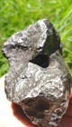 Museum Quality Specimen Of Campo Del Cielo Meteorite 1423 Grams 