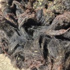 Raw Wool - Fine Shetland Fleece -black- I Pay Shipping 