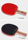 Table Tennis Paddle Dhs T2002 l  t2006 s  Ping Pong Racket 2-star Bat   Cover-