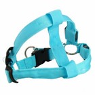 Add ship 2 Led Flash Dog Belt Harness Leash Pet Light-up Safety Collar