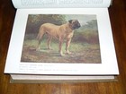 Antique  new Book Of The Dog  By Leighton 1st 1907 624 Pages Many Color Illus