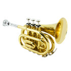 Bb Flat Pocket Trumpet Brass Gold Lacquer Trumpet Mini Portable Beginner Gifts