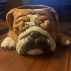 Ceramic Bulldog Planter  Approx  7 5  L X 4  H Hole Approx  3  Rd