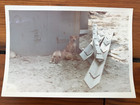Set Lot 8 Vtg 1969 Vietnam War Da Nang Army Troops Original Photos Snapshots