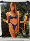 Corona Extra Cerveza Vintage Beer Poster Sexy Blue Bikini 25    X 19   