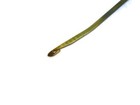 Reed Hook 6  Brass Blade Plastic Handle  025  X  135  Wide Weavers Reed Hook