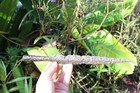 European Medieval German     Viking     Long Iron Spear  19