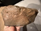 Mesosiderite Meteorite Specimen