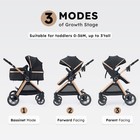 2 In 1 Baby Stroller  Convertible Bassinet Pushchair For Infants And Newborns   