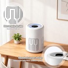 Home Hepa Air Purifier Large Room Air Cleaner For Allergies Smoke Mold Odor Dust