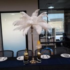 10pcs Natural Ostrich Feathers Plumes 14-16inch 35-40cm  For Craft Flower Arr   