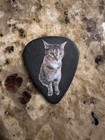 Beartooth Guitar Pick Oshie 2026 Tour   