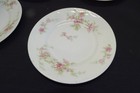 Theo Haviland Schleiger 151-1 10 Bread Plates Limoges Pink Asters