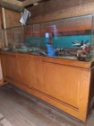 Antique Display Cases For Collectibles Pick Up Only