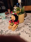 Nwt The Disney Store Valentines Day Pooh Mini Bean Bag Plush 8  Stuffed Animal