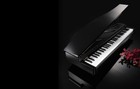 Korg Micro Piano 61-key Mini Keyboard Red Used