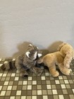December 2016 Nwt Duo Webkinz Rascally Raccoon Hm836 With Spaniel Pup Hm843