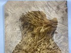 Aaaaa Birds-eye Camphor Wood Burl Craft Guitar Drop Top Woodworking Lumber