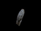 An Ancient Bronze Medieval byzantine Era Signet Ring  Detector Finds Artifact