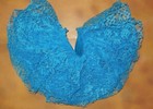 Tutu Turquoise Lace 3 Layer Ballet Dance Dress Up Girls Child Size Nwot
