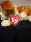 Ty Beanie Baby Sampson St  Bernard Dog 2002 Retired Plush With Heart Tag