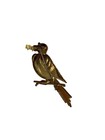 Vintage Gold Tone Yellow Enamel Songbird Singing Bird Music Note Brooch Pin