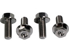 Yamaha Banshee 350 Race Titanium Foot Peg Bolts Oem Size Bolt Kit 95822-10025-00