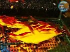 10 1 Fire Red Cherry - Freshwater Neocaridina Aquarium Shrimp  Live Guarantee