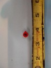 Johnson evinrude omc New Carb Needle Retainer 0315232  315232