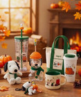 Starbucks X Peanuts Snoopy Fall Pumpkin Collection Mugs Tumbler Bag New 