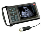 M10 Portable Vet Ultrasound For Dog Pregnancy Testing Durable And User-friendly