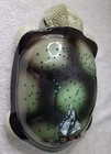 Cloud B Classic Twilight Turtle Night Light With Colorful Stars Plush Tested