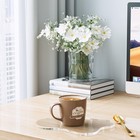 Acrylic Coaster Decorative Plates  Irregular Bar Drink Coaster  Clear Cloud S   