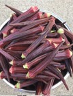 Organic Okra Burgundy Red 25 Seeds Non Gmo Heirloom Vegetable Grown Fresh