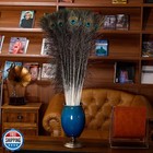 Ballinger 20pcs Natural Peacock Feathers Long Pole Bulk 40-45 Inch For Diy Cr