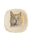 Royal Trent Fine Bone China Cat Portrait Trinket Dishes Set Of 3 Staffordshire