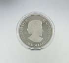 Canada 2023  20 Fine Silver Coin The Magic Of The Season