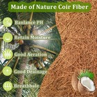 2 Pack Round Coco Liners For Hanging Basket Replacement Coconut Fiber Liner F